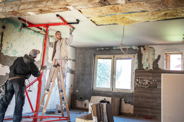 Best Insulation Maintenance and Repair in Sulphur Springs, AR